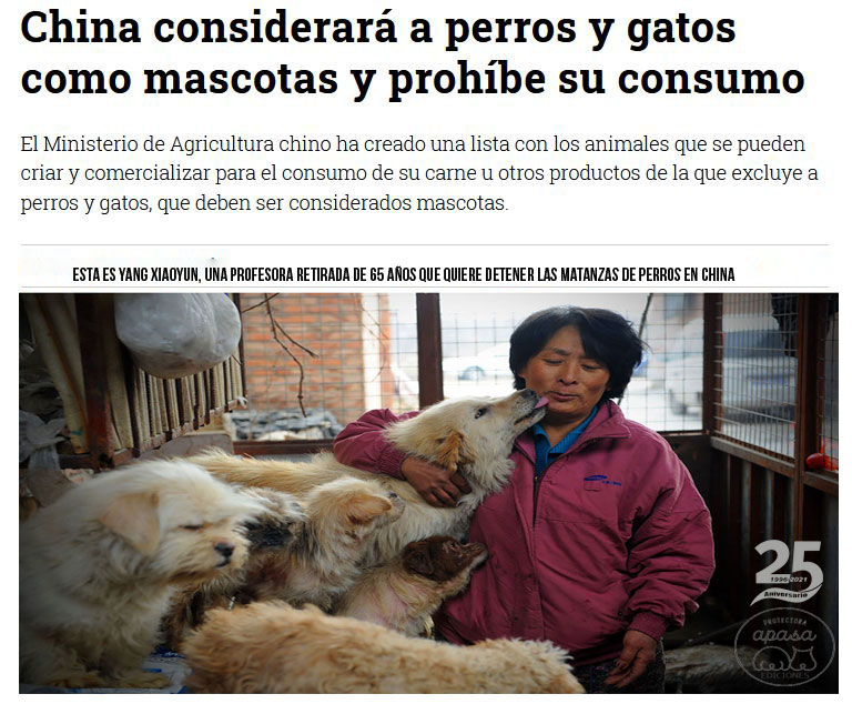 como se trata a los perros en china