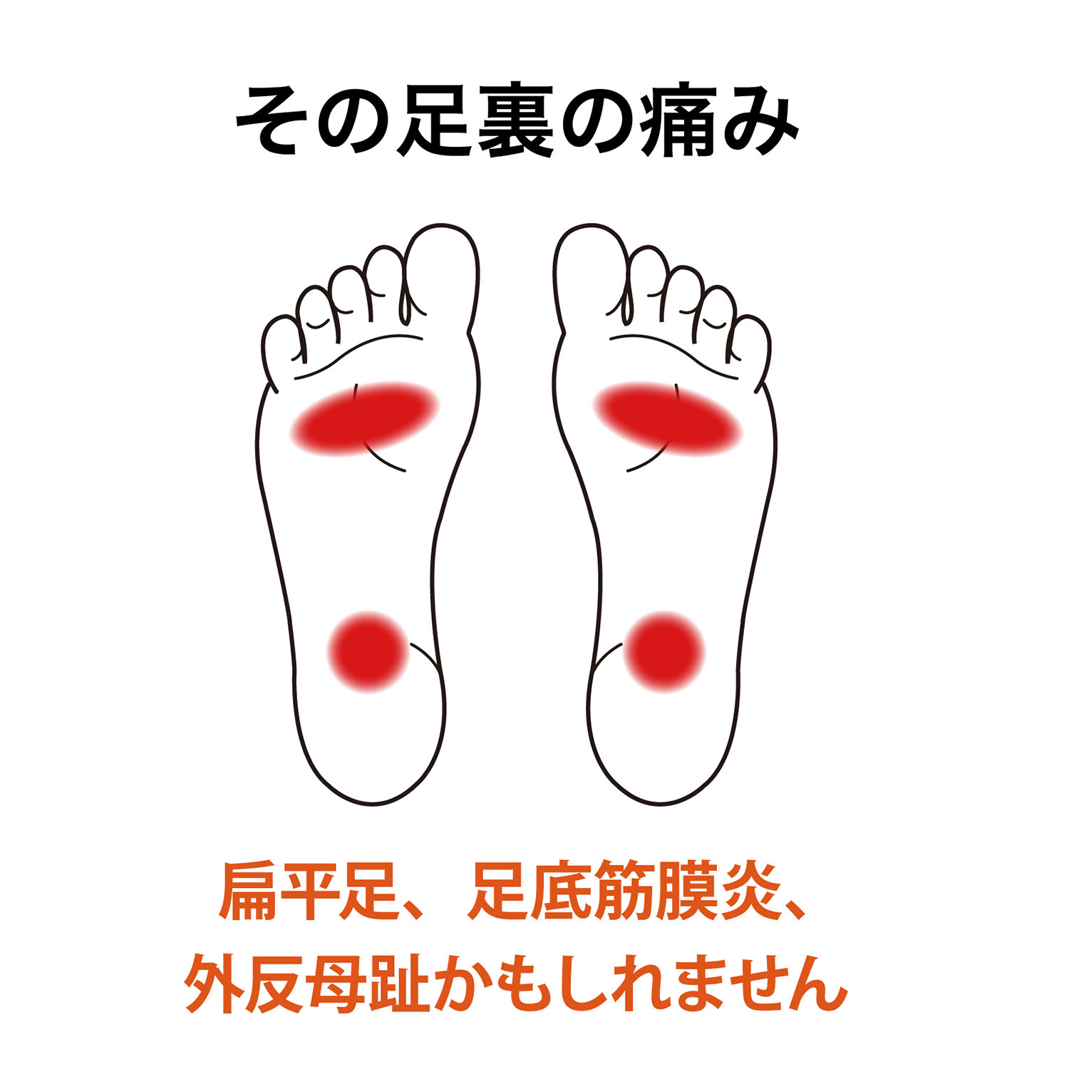 人気の春夏 土踏まずアーチを作る 支える 鍛えるベアフットサイエンス インソール 足底筋膜炎 かかとが痛い 足裏の痛み 扁平足 偏平足 矯正 立ち仕事 モートン病 中足骨頭部痛 踵骨棘 外反母趾 内反小趾 足底板 開張足 浮き指 中敷き Www Childrensspacelearningacademy Com