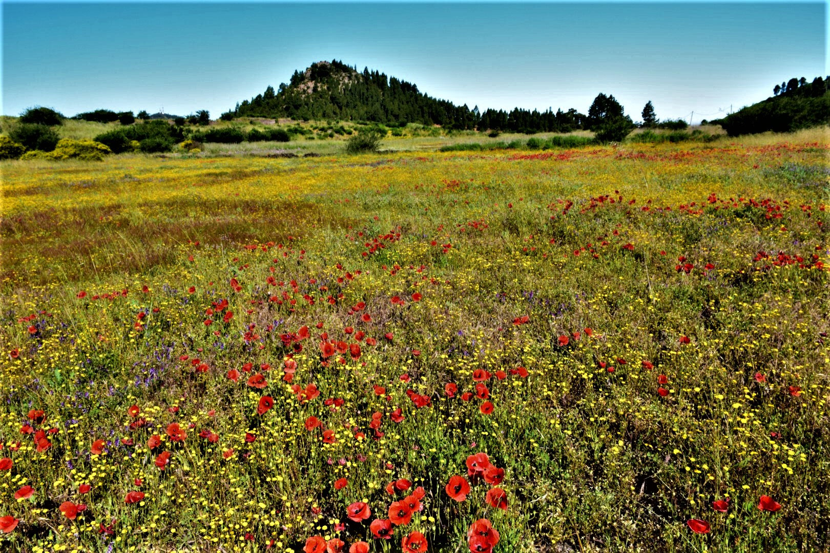 San José de Los Llanos CasaMadera Ferienhaus buchen