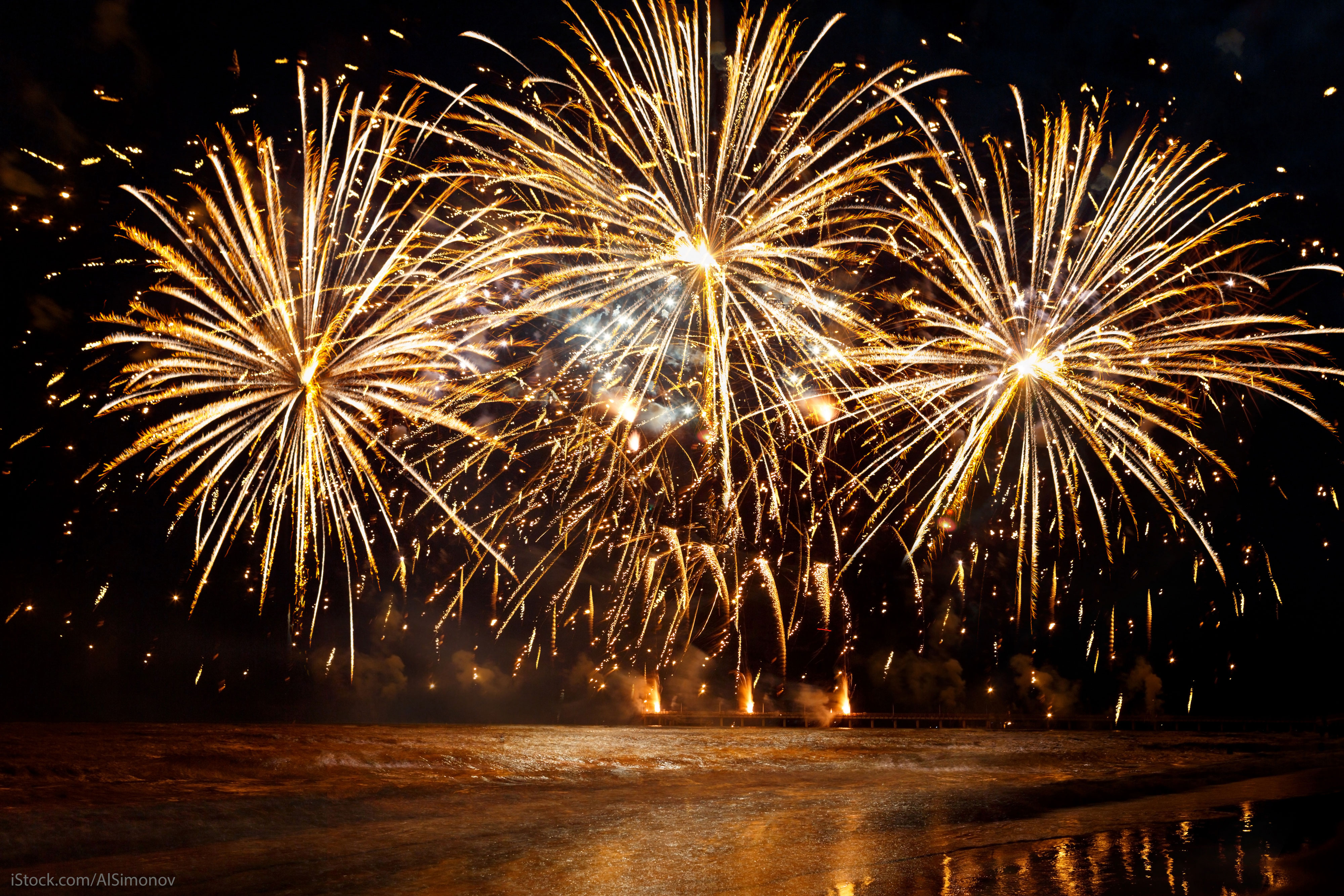 Silvester Des Einen Freud Des Anderen Leid Streunerhilfe Sizilien E V
