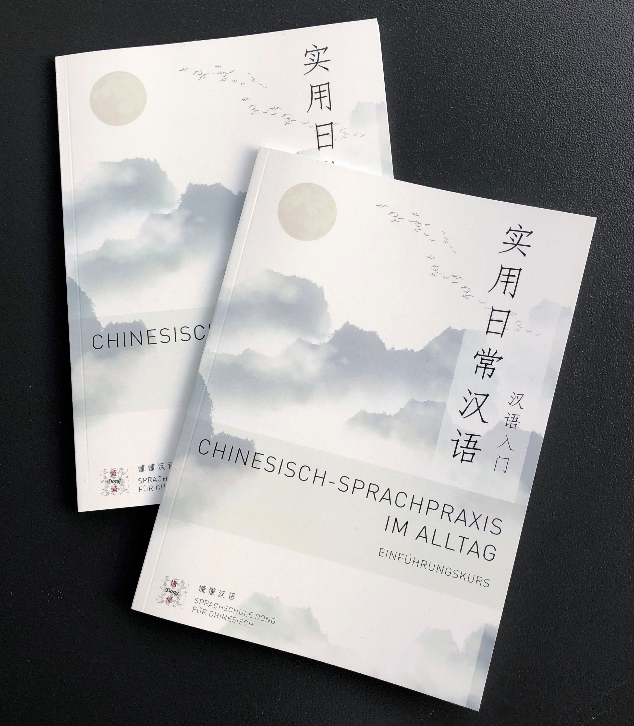 Chinesisch-Lernen - Sprachschule Dong für Chinesisch