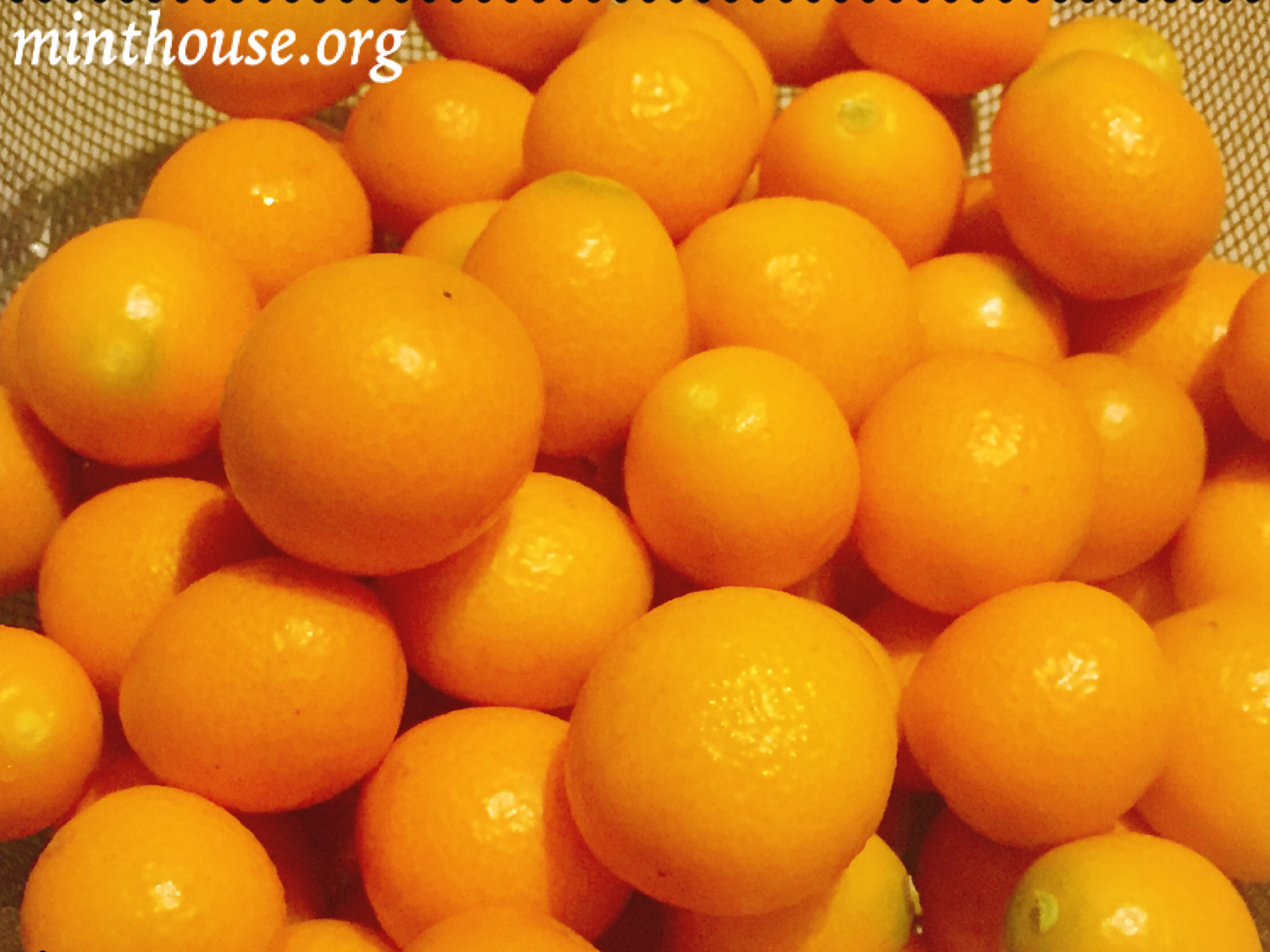 金柑の甘露煮 レシピ 金柑 アンティーク ていねいに暮す 通販