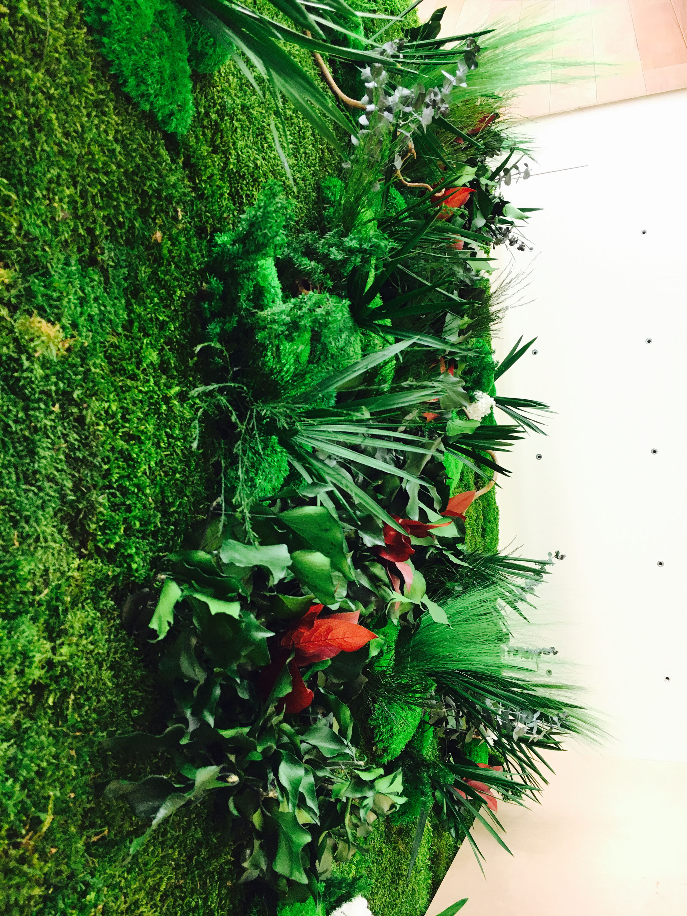 Leroy Merlin Angers Vegetal Indoor Mur Vegetal Stabilise