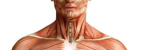 Kräftigung der Halsmuskulatur - Finally Fit