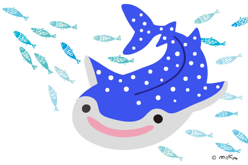 ジンベエザメのイラスト 工房momo