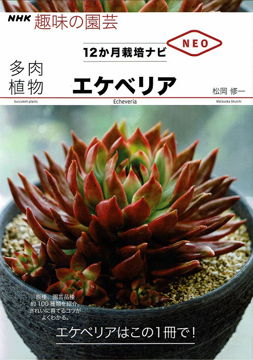 エケベリアの本を出版しました 多肉植物通販 販売 たにっくん工房ホームページ エケベリアの本を出版しました 多肉植物通販 販売 たにっくん工房ホームページ