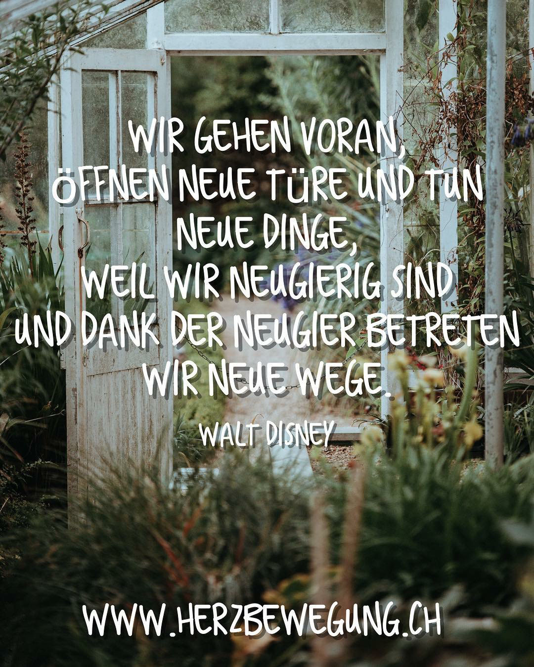 Herzliche Gluckwunsche Zum 75 Geburtstag Buch Weltbild Ch