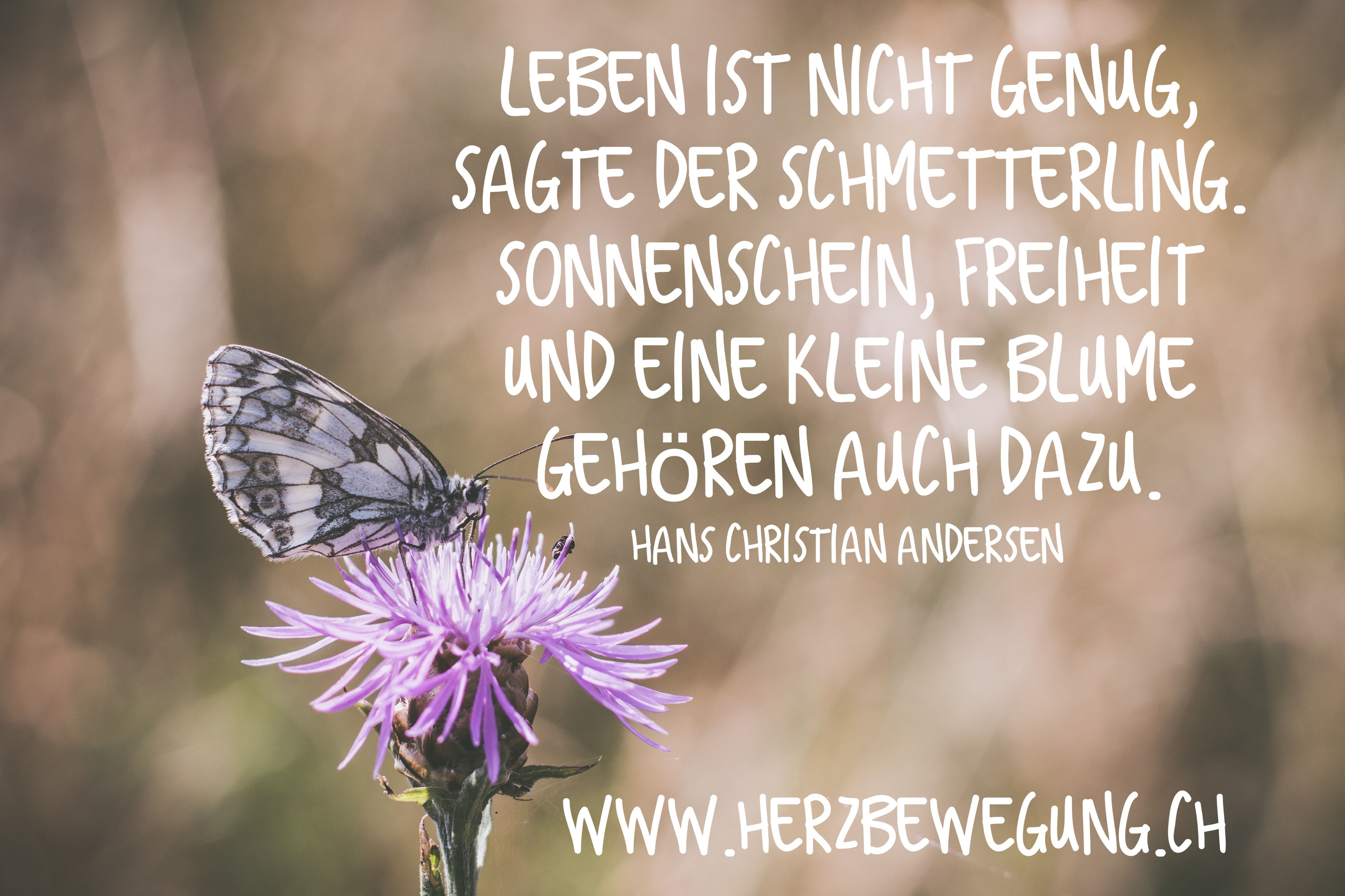 Download Spruch freiheit leben For Free