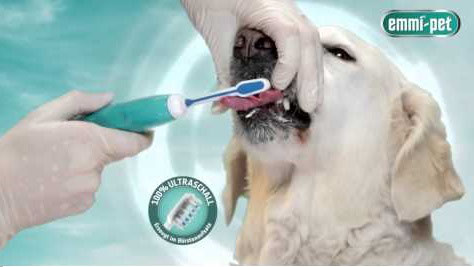 Reico Hundefutter Schweiz Reico Hundefutter Schweiz
