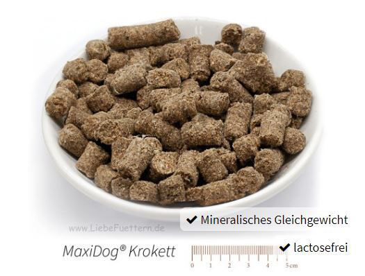 Reico Trockenfutter MaxiDog Krokett - Image