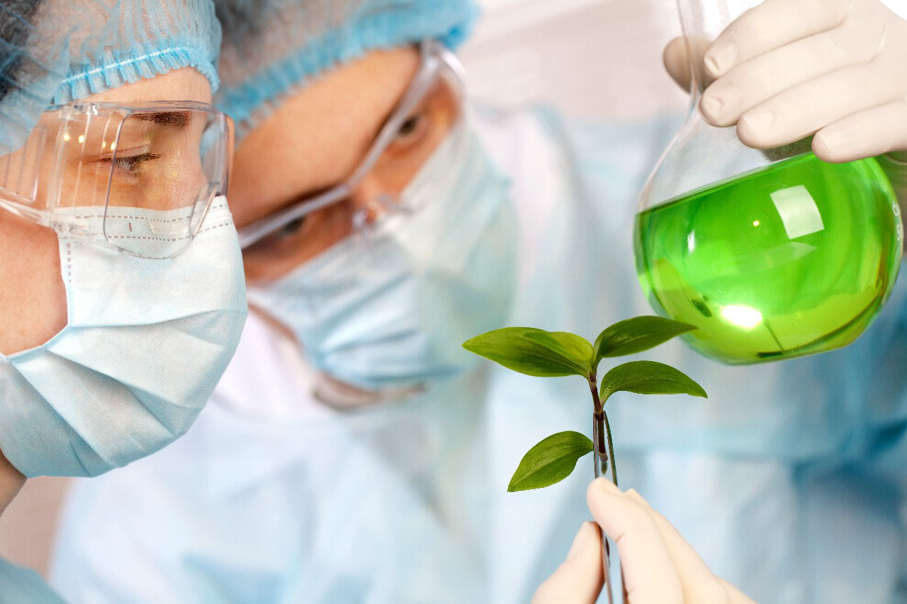 Remediación y Química Verde SAp. La LIMPIEZA Verde Remediación y Química Verde SAp. La LIMPIEZA Verde
