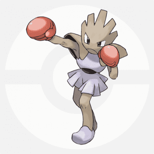 ボクシングポケモンエビワラー ボクシングジムfitnessscene