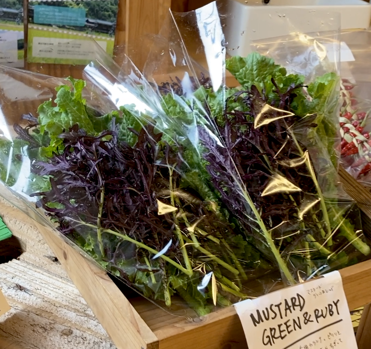 MUSTARD LEAVES noukanagai