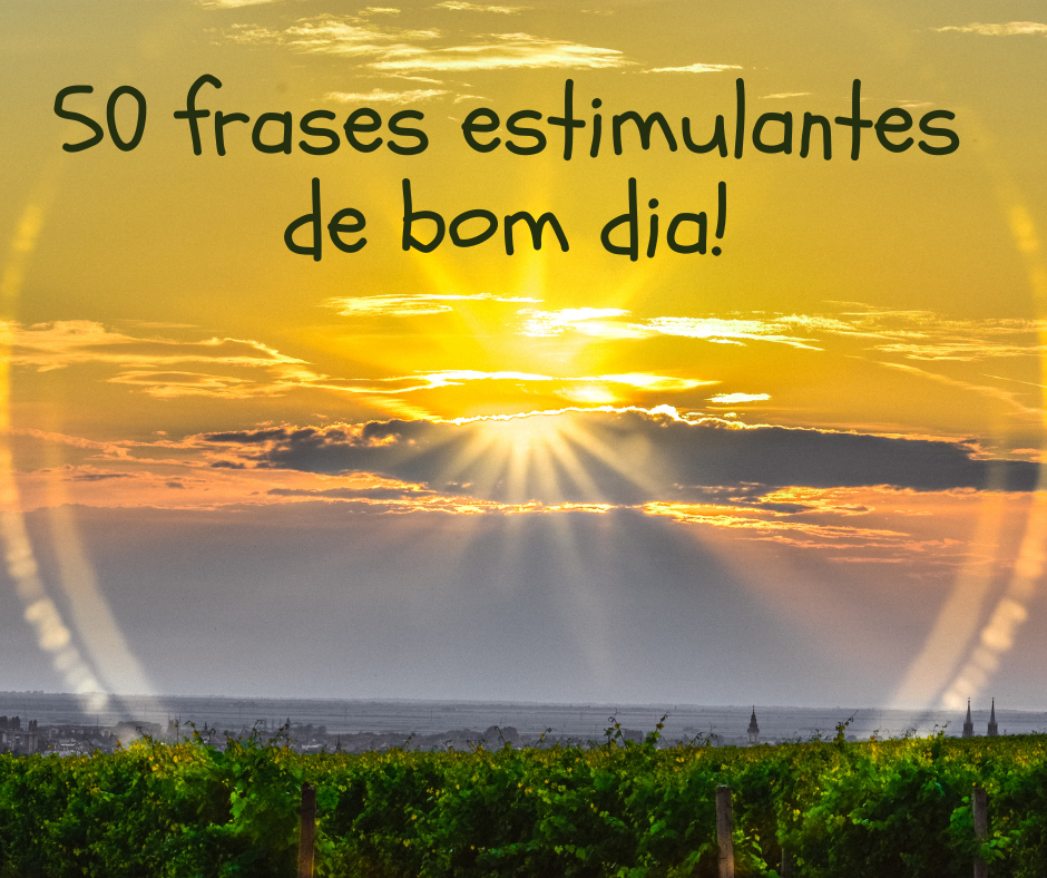 50 frases estimulantes de bom dia! - Portugueses felizes