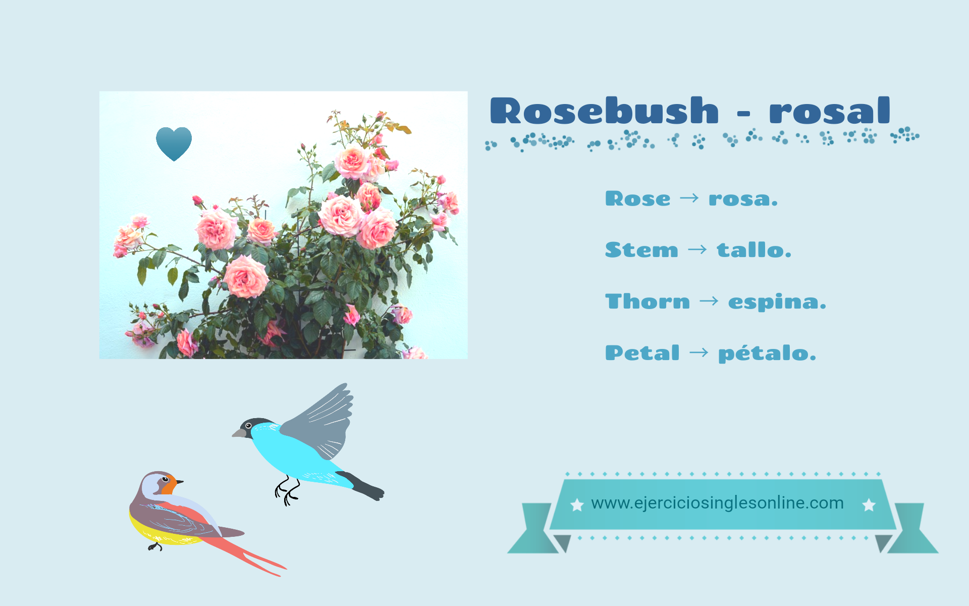 Flores en inglés Ejercicios inglés online