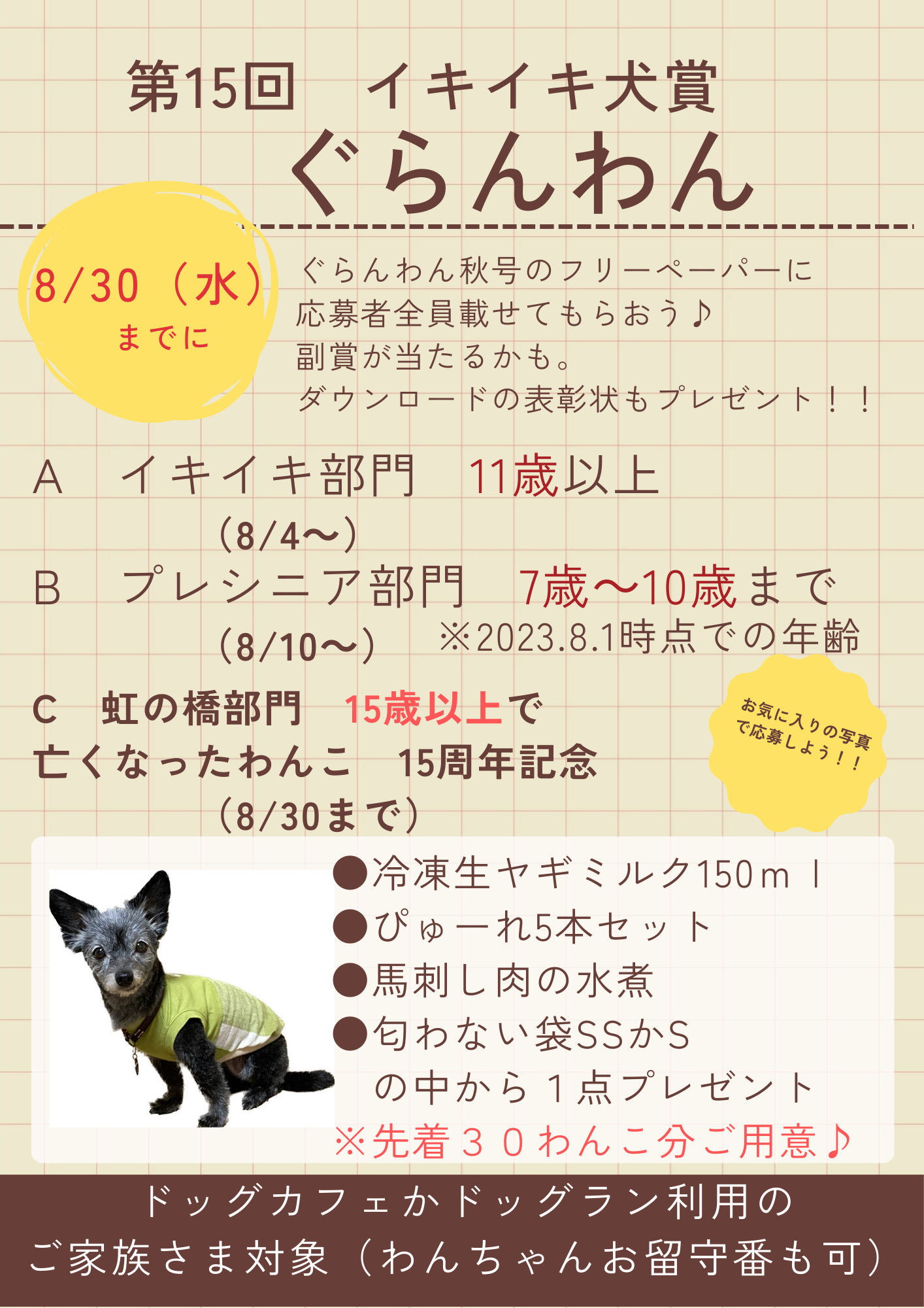 オーダー受付　お留守番わんこ　4/10 オーダー受付 お留守番わんこ 4/10
