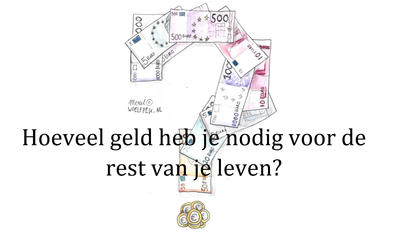 Hoeveel geld heb je nu echt nodig voor de rest van je leven? Michiel van Vugt Professioneel
