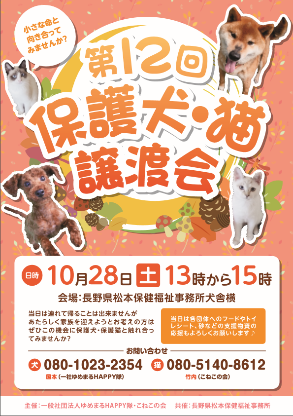 沢山の出会いがありますように ゆめまるhappy隊 保護犬たちに 今 私たちが出来ることを 長野県 松本市 沢山の出会いがありますように ゆめまるhappy隊 保護犬たちに 今 私たちが出来ることを 長野県 松本市