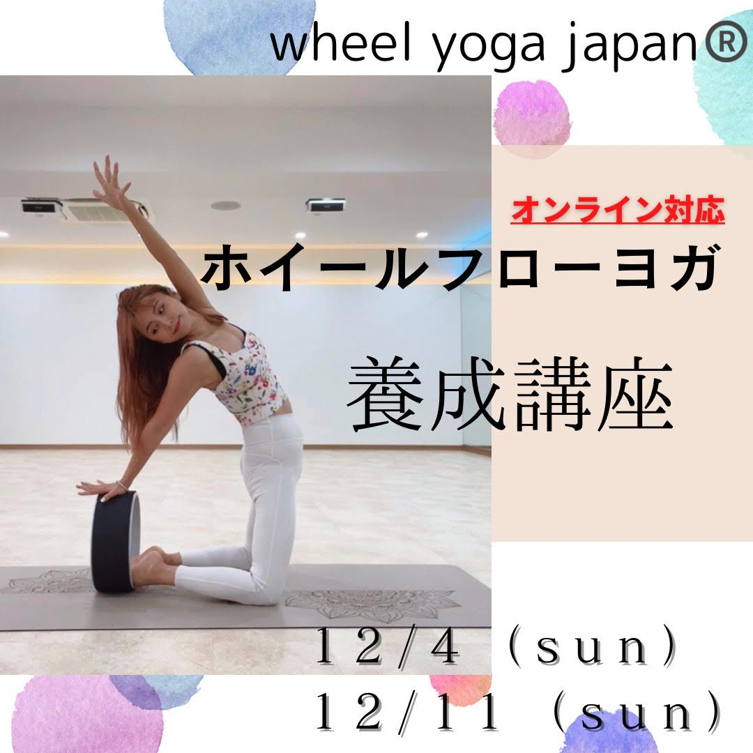 【ヨガホイールPukish】war  ヨガホイール講師　唯監修 ヨガホイールPukish】war ヨガホイール講師 唯監修