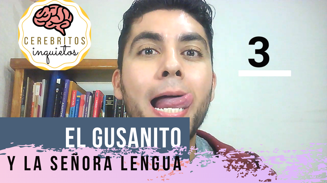El gusanito y la señora lengua - Neuropsicólogo Ulises Espino Rodríguez