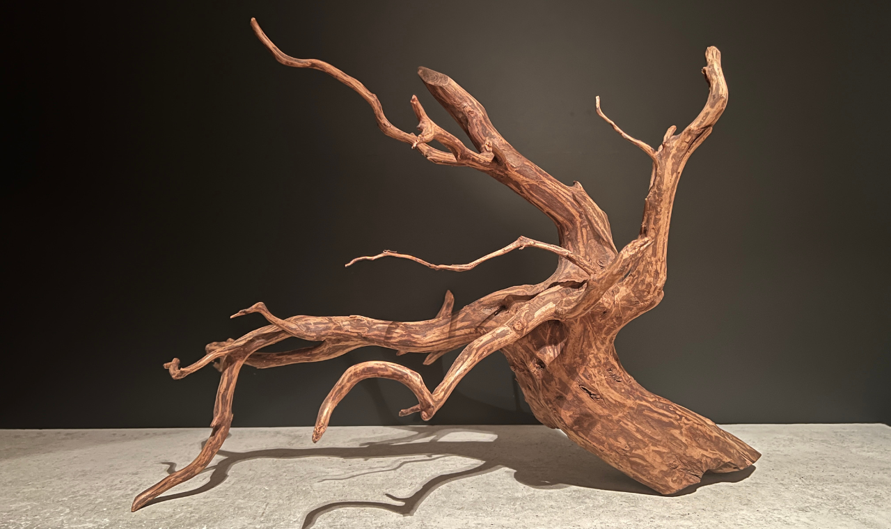 圧倒的に使いやすくインテリアにもなるエレファントウッド - 水槽素材