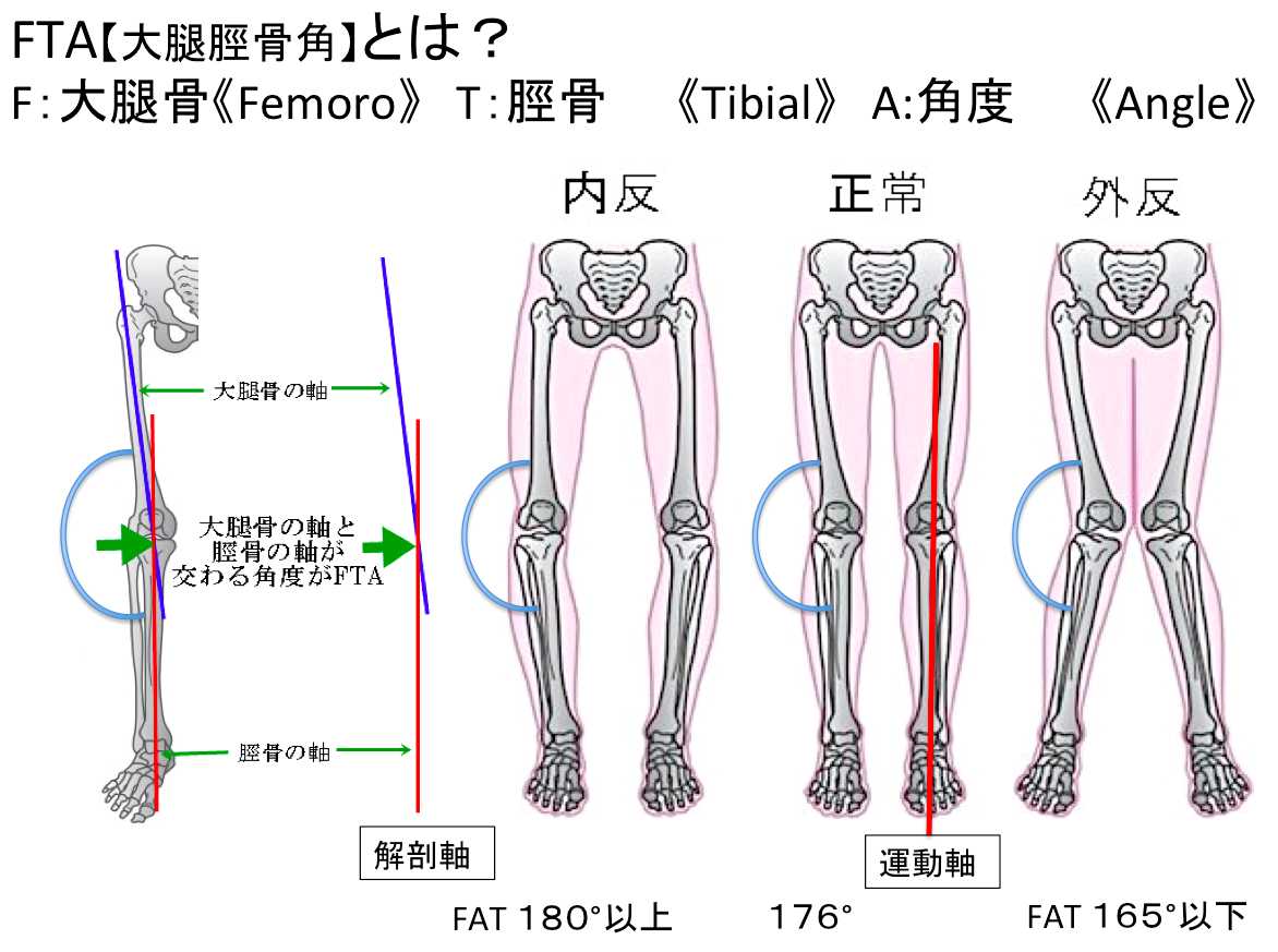 脚と足部の運動連鎖を見える化！ 怪我の予防改善に特化したリハピラティスのHP
