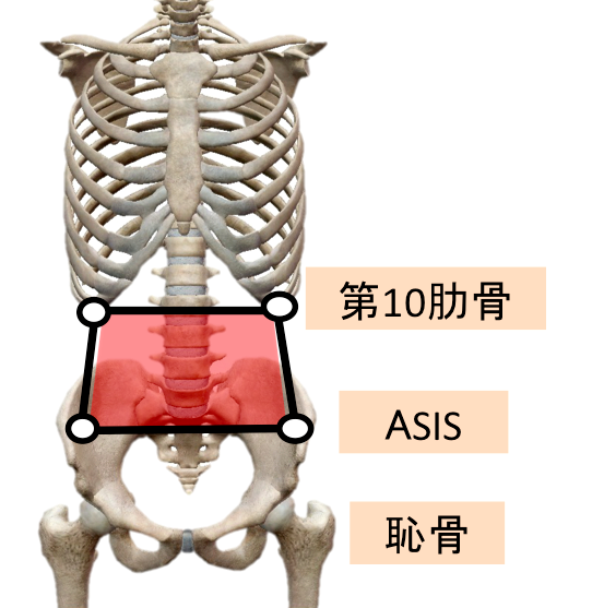 体幹 骨盤の評価方法まとめ 怪我の予防改善に特化したリハピラティスのhp