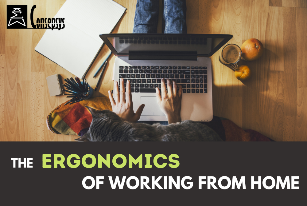 The Ergonomics of Working from Home Consepsys