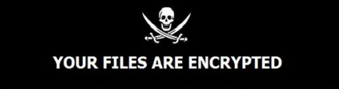 Ransomware Defense – Where Your Money Went