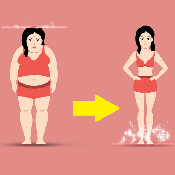 Das Mach dich schlank Programm von Tanja Schmelz Meine Erfahrungen in