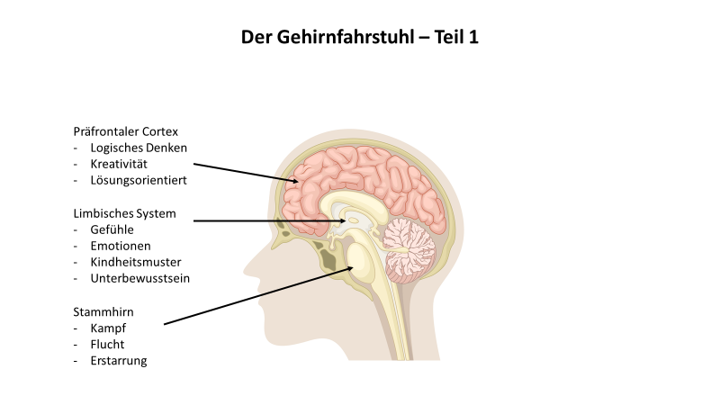 Warum Wir Immer Wieder In Negativen Gefuhlen Und Gedanken Landen Hilfe Bei Angsten Panik Trauer Und Trauma Zentrum Fur Trauerbegleitung Trauma Und Psychotherapie Und Psychologische Onlineberatung