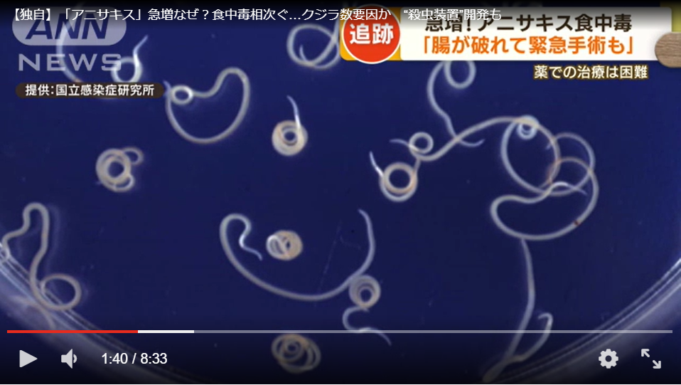 独自】「アニサキス」急増なぜ？食中毒相次ぐ…クジラ数要因か “殺虫