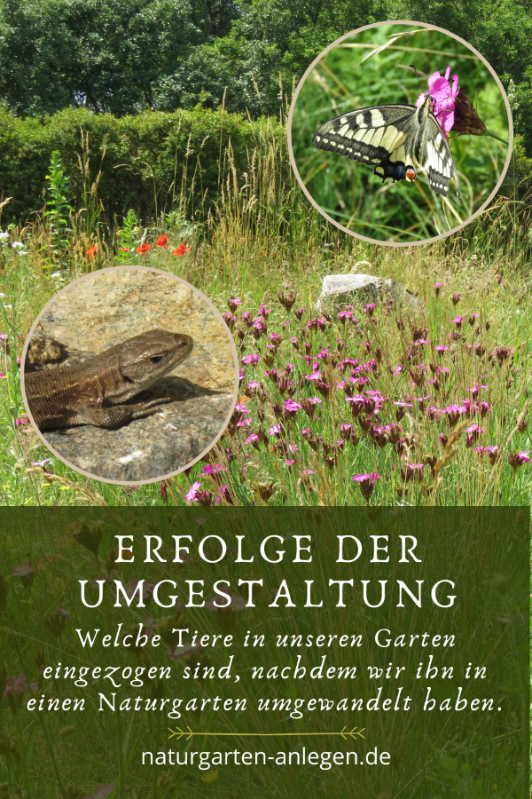 Erfolge Der Umgestaltung Welche Tiere In Unseren Garten Eingezogen Sind Nachdem Wir Ihn In Einen Naturgarten Umgewandelt Haben Einen Naturgarten Anlegen