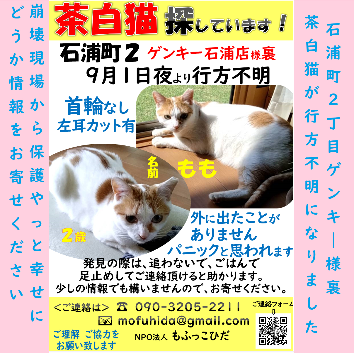 裏猫様限定②