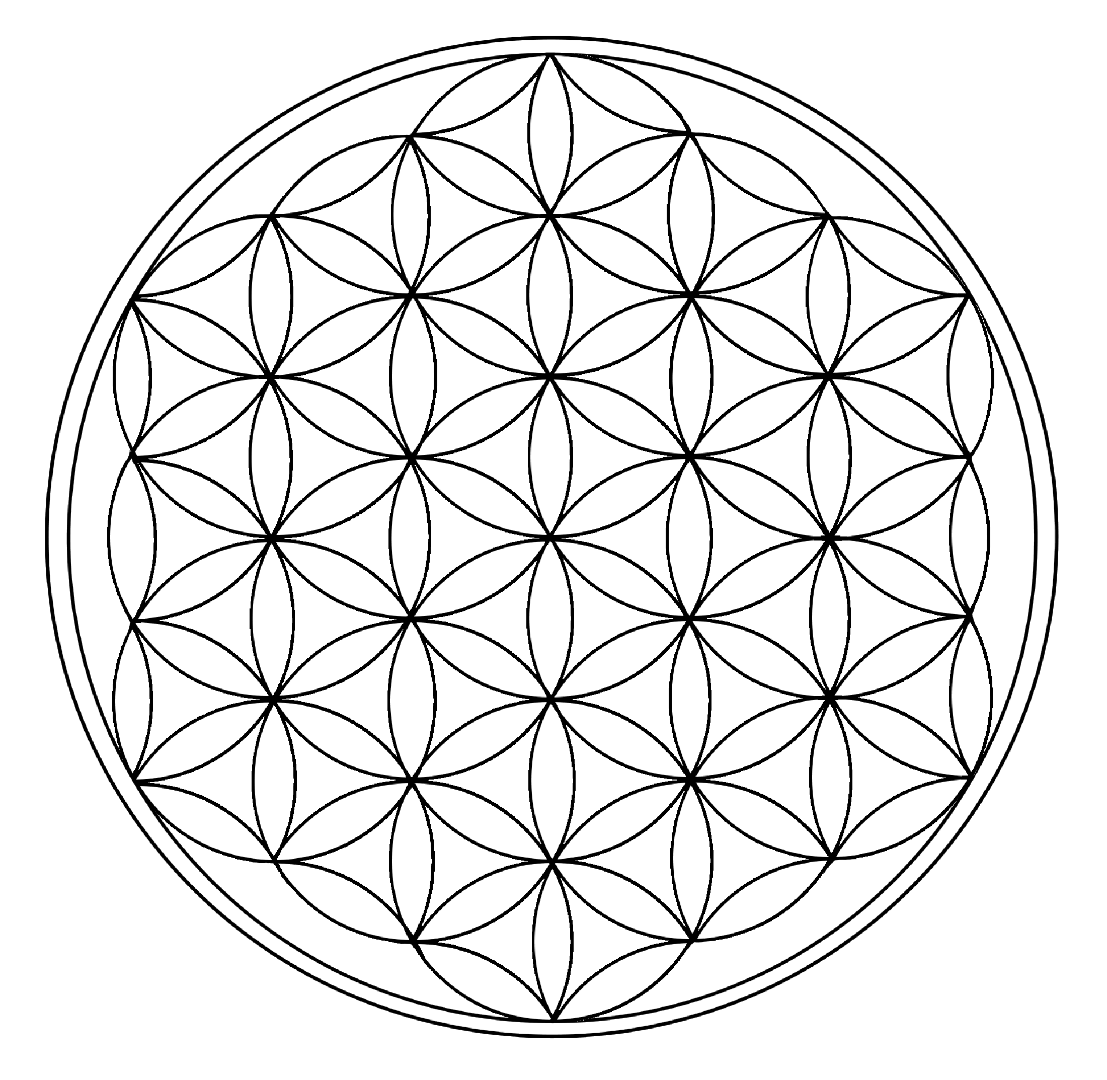 Die Blume des Lebens - www.quantenliebe.ch
