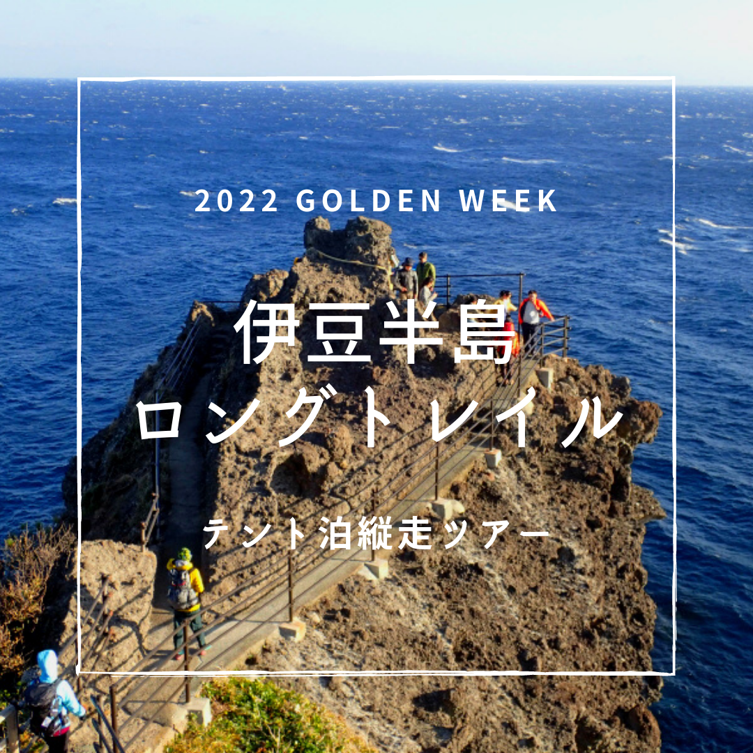 伊豆半島パーフェクト地磯ガイド上下巻セット 計259ポイント収録