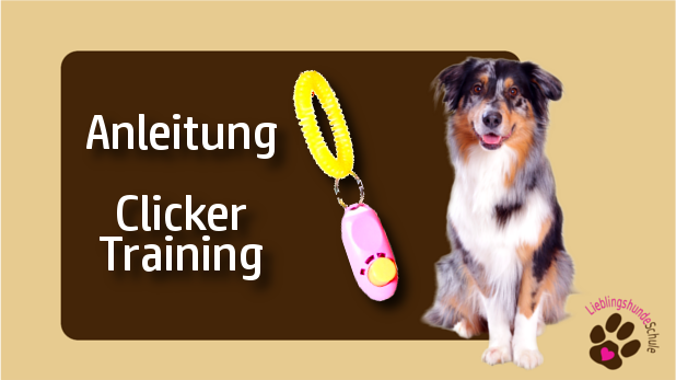 Clickertraining mit Hund die Anleitung Hundeschule in München