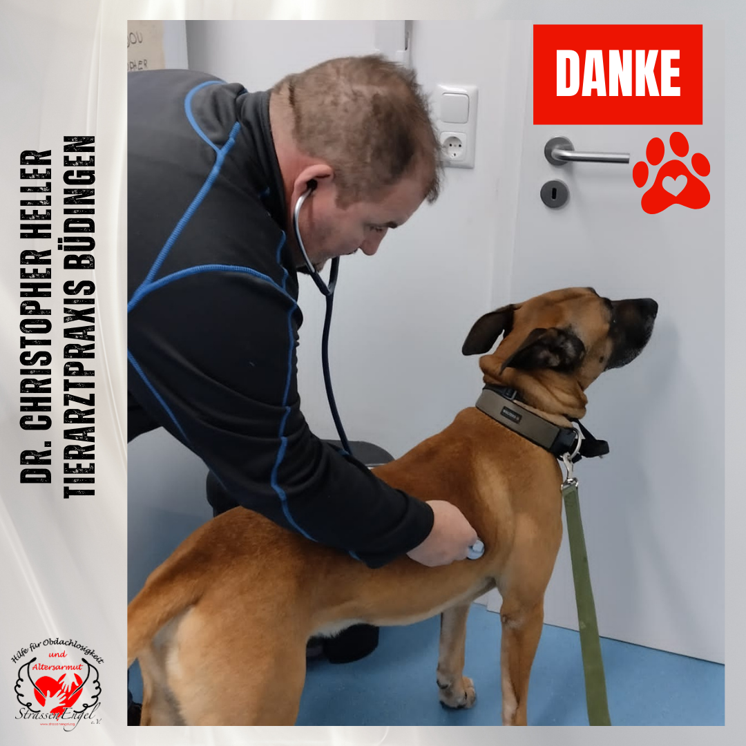 Tierarzt Dr. Heller aus Büdingen - StrassenEngel e.V. Hilfe für Bedürftige  und Obdachlose, image size:1080x1080