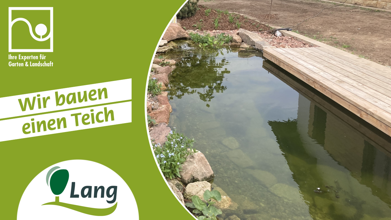 Video Wir bauen einen Teich Gartenbau, Gartengestaltung & Gartenpflege