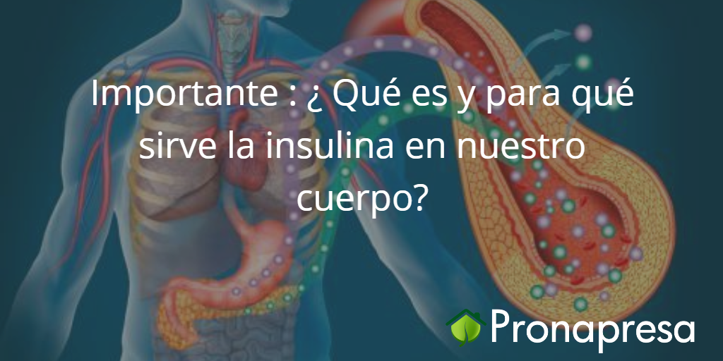 Importante ¿Qué es y para qué sirve la insulina en nuestro cuerpo? Tienda Naturista Pronapresa Importante ¿Qué es y para qué sirve la insulina en nuestro cuerpo? Tienda Naturista Pronapresa