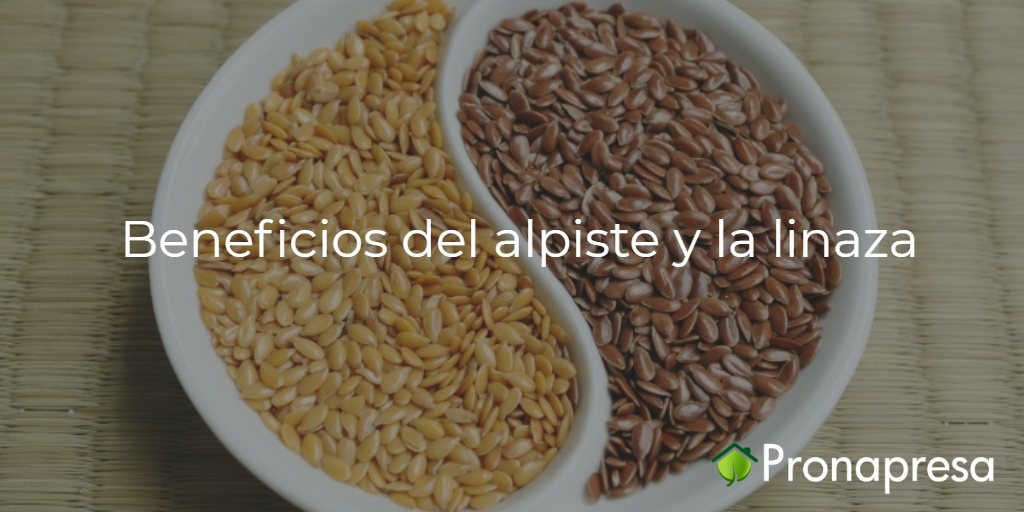 alpiste propiedades medicinales diabetes síntomas