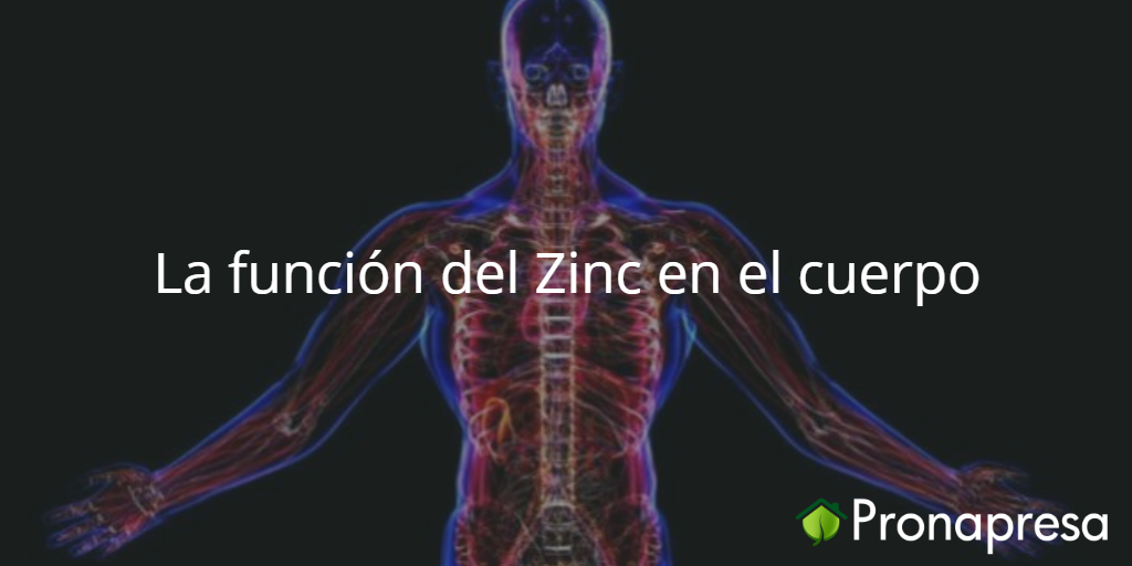 La función del Zinc en el cuerpo Tienda Naturista Pronapresa