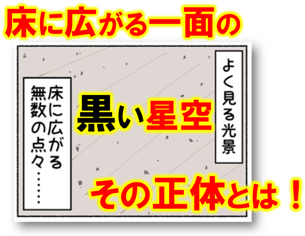 床に広がる一面の黒い星空 多数のタバコの焦げ跡 片付け ゴミ屋敷 家事 タバコ Nipponseiri さいたま市 久喜市 春日部市を拠点に関東全域で活躍の片づけ 遺品整理屋さんです 親身な対応でお客様の不安を解消します 床に広がる一面の黒い星空 多数のタバコの焦げ跡 片付け ゴミ屋敷 家事 タバコ Nipponseiri さいたま市 久喜市 春日部市を拠点に関東全域で活躍の片づけ 遺品整理屋さんです 親身な対応でお客様の不安を解消します