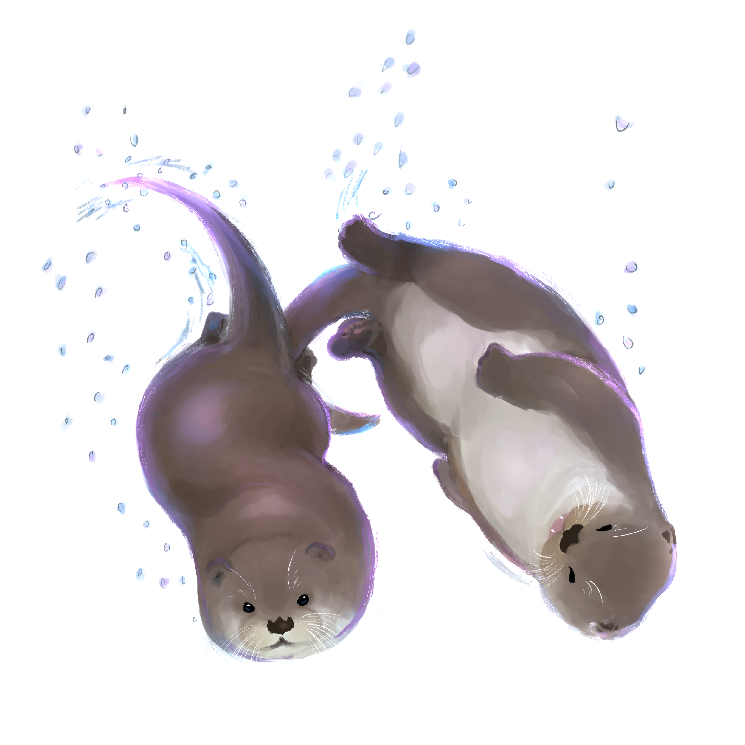 ペットにしたいと人気のカワウソも絶滅危惧種 第二のニホンカワウソを生まないために エコロジーオンライン