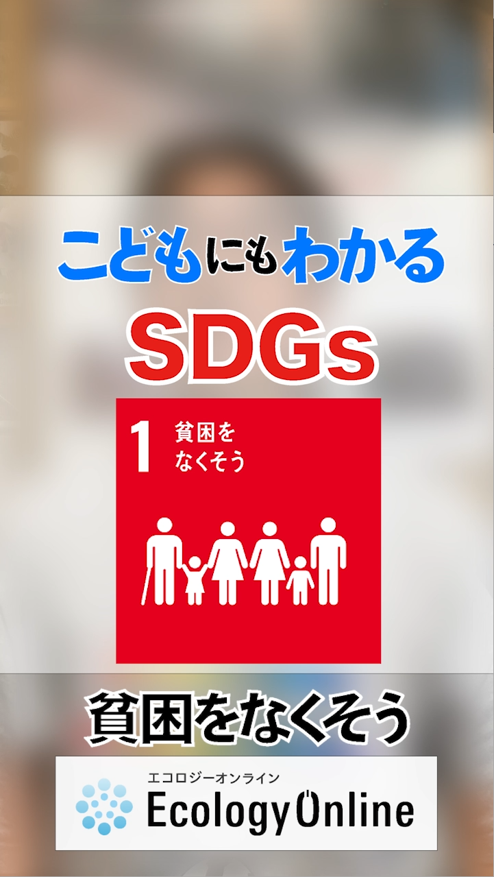 エコロジーオンラインyoutubeチャンネル本格始動 エコロジーオンライン