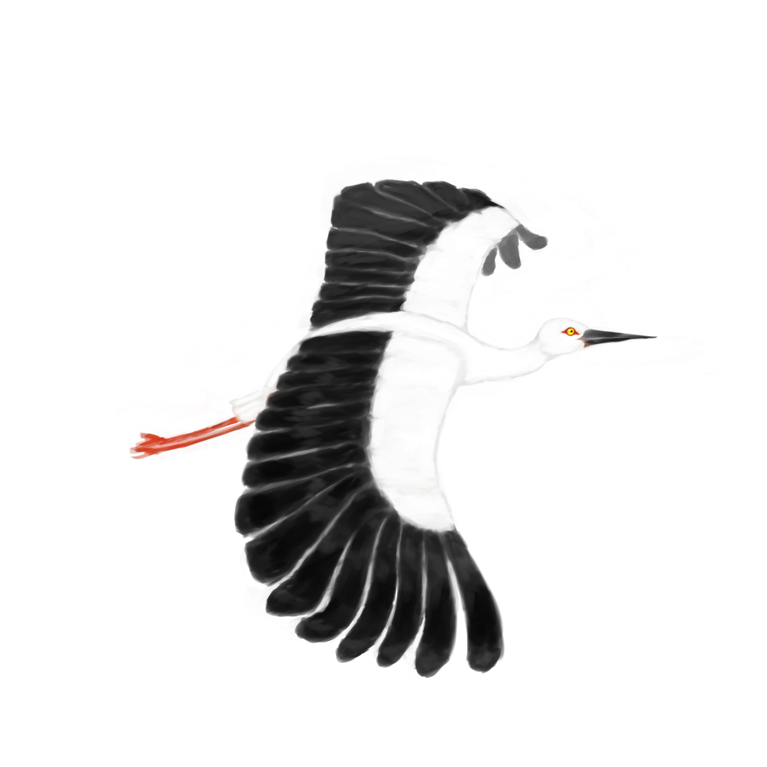 野生のコウノトリが日本の空で再び羽ばたけるように エコロジーオンライン