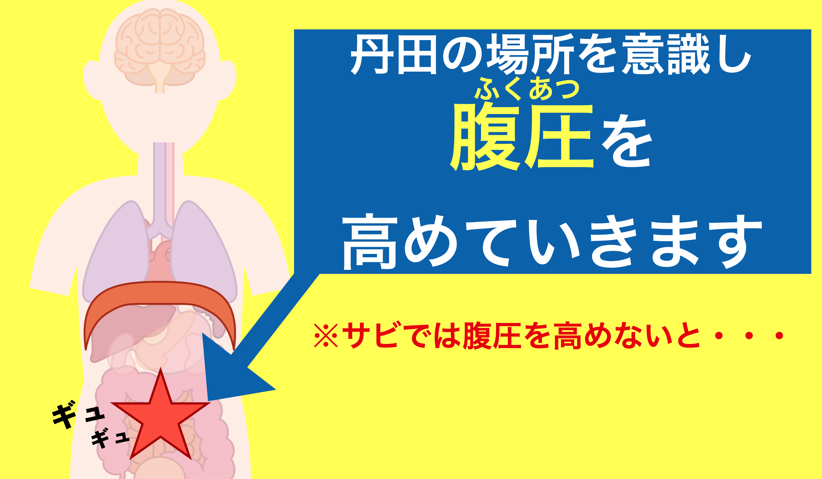 腹式呼吸 丹田だけでok大丈夫 ボイスコントロール 仙台教室 声とメンタルを同時に伸ばす 心理学 脳科学から生まれたvcメゾット