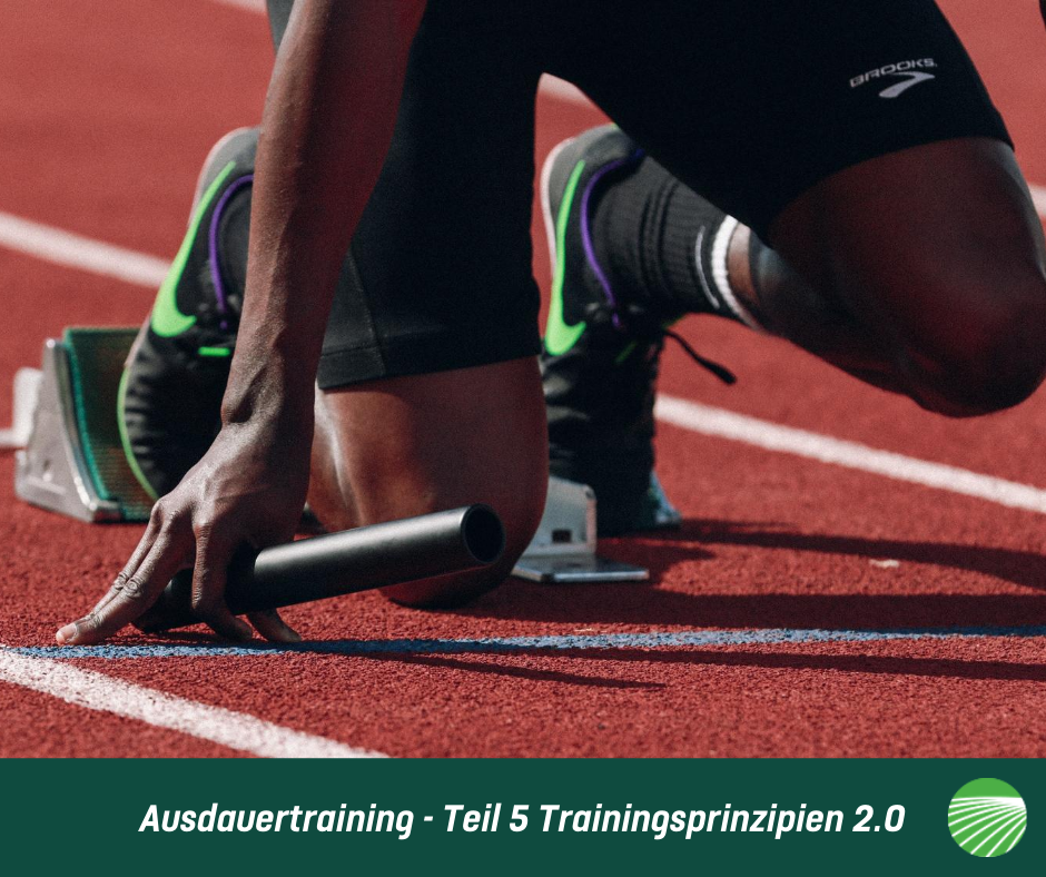 Trainingsprinzipien 2.0 - Ausdauertraining 5 - Lorenzen Training in Hamburg – Fitnessstudio