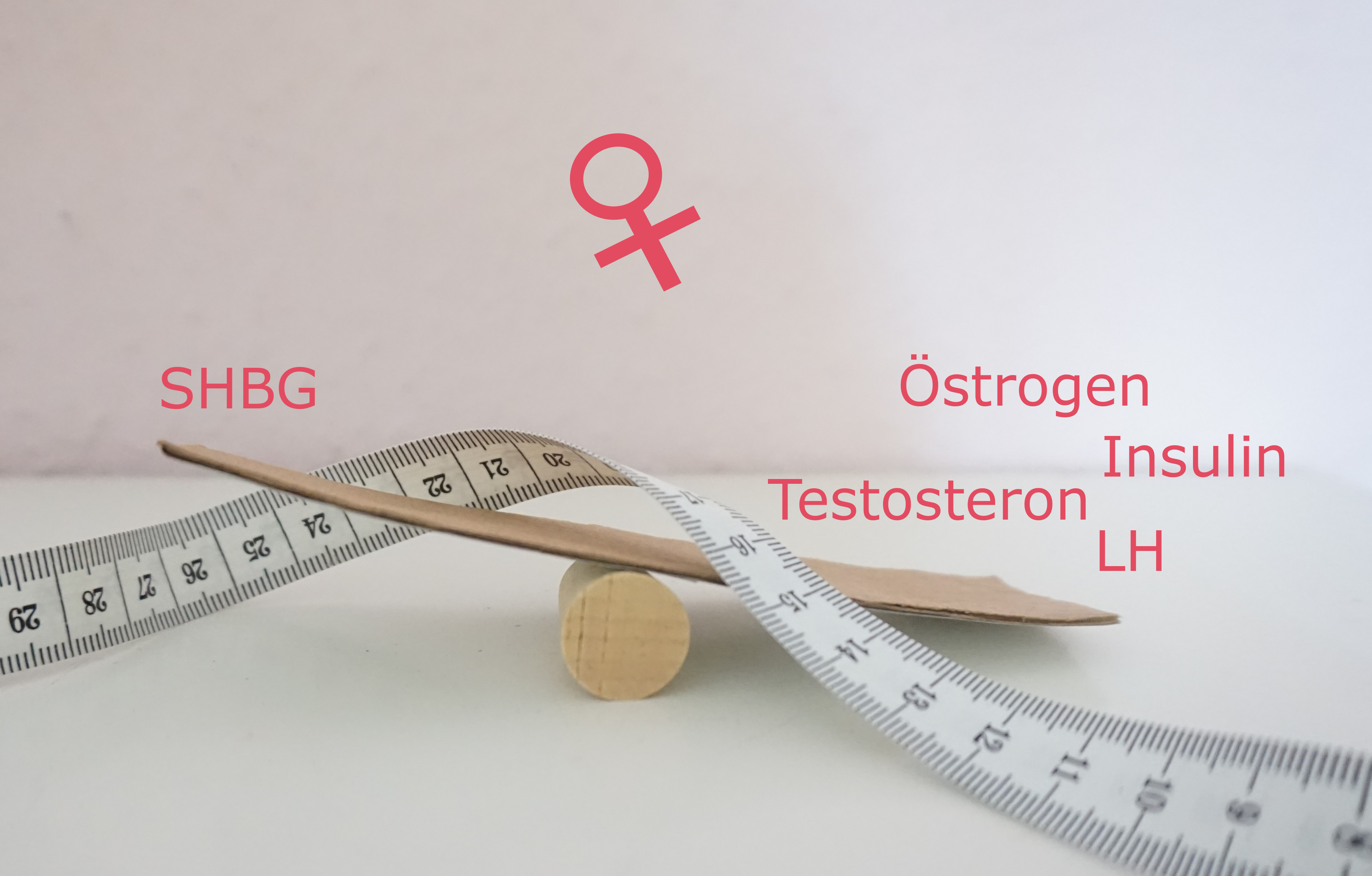 Weibliches Hormon zur Gewichtsreduktion