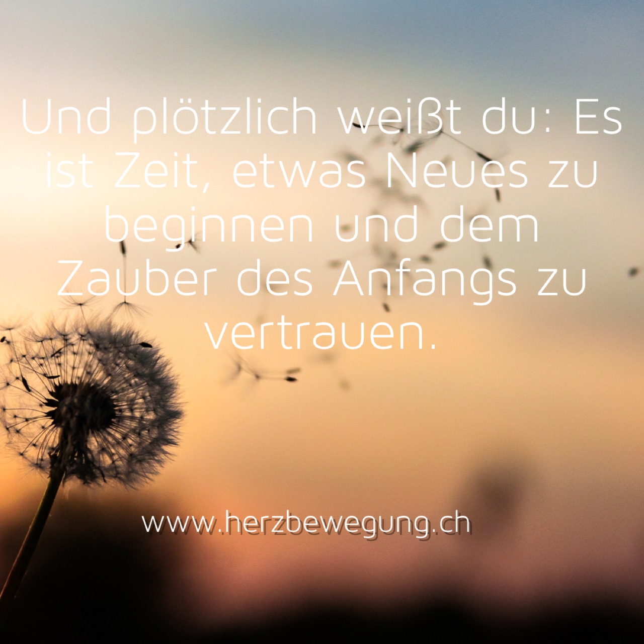 Etwas Neues Beginnen Herzbewegung